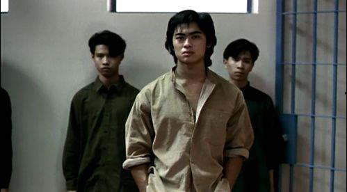 力王1991国语在线观看,激战巅峰，热血沸腾的国语在线观影之旅  第2张