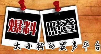 成都新闻爆料平台,聚焦城市热点,揭秘幕后真相 第1张 成都新闻爆料平台,聚焦城市热点,揭秘幕后真相 第1张
